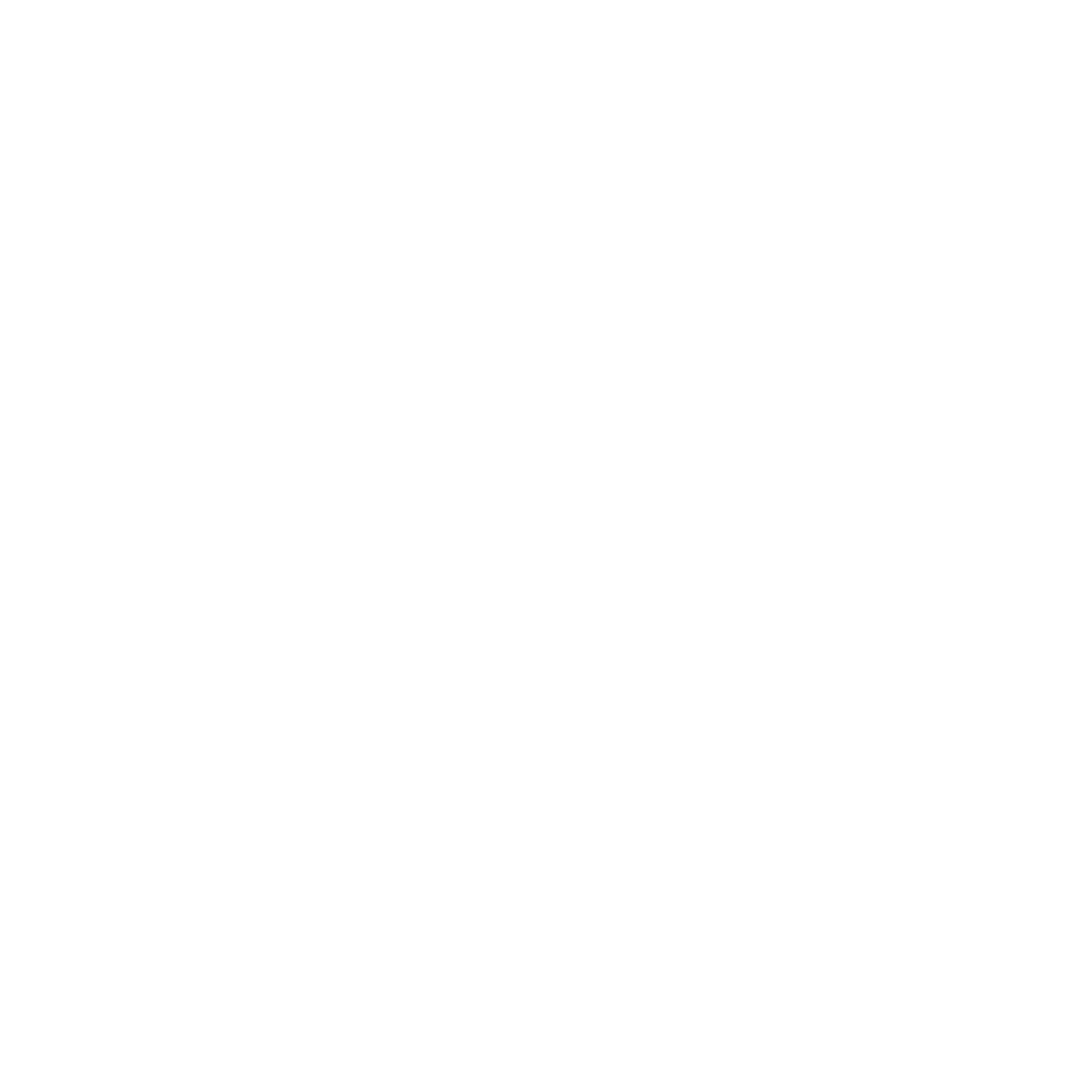 PNOIR Consultin'